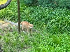 -玲珑塔公园