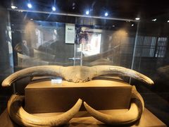 -丁村民俗博物馆