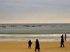 -北岐滩涂