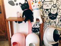 大堂-喵匠猫主题咖啡(凯德和平广场店)