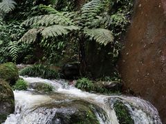-赤水丹霞旅游区·佛光岩