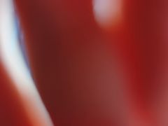 -宠小格时尚宠物生活馆(唐镇店)