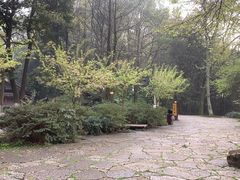 -重庆抗战遗址博物馆