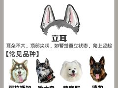 -守诺宠物医院·眼科· 神经外科·爬宠专科(虹口店)