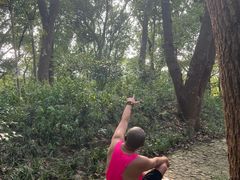 -上海佘山国家森林公园天马山园