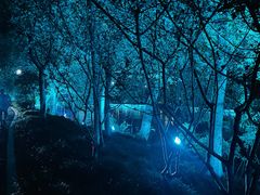 -杭州城北体育公园