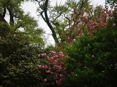 -青岛崂山太清宫
