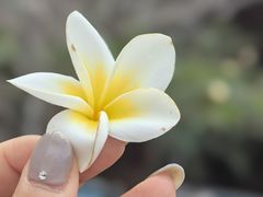 -西双版纳安纳塔拉度假酒店