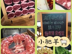 -肥羊坊火锅餐厅(新兴南路店)