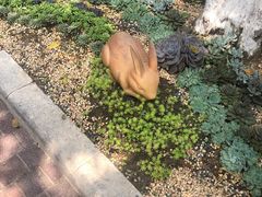-深圳东部华侨城茵特拉根酒店
