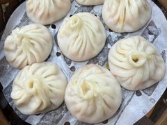 -莱莱小笼·乔艾