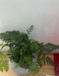 -AIST爱思特医疗美容医院