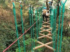 -芦仙山景区-飞越丛林探险乐园