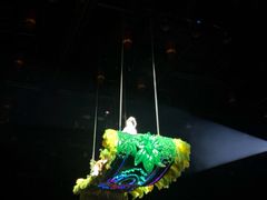 -丽江千古情