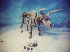 -吉林省自然博物馆