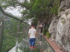 -千岛湖石林