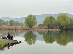 -长广溪湿地公园