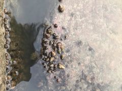 -南翔镇银翔湖公园