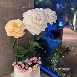 在希尔顿玫瑰瀑布下吃烧鸟自助是什么体验🌹