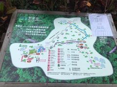 -野象谷景区