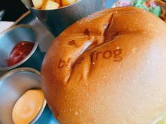 -bluefrog蓝蛙(新三里屯太古里店)