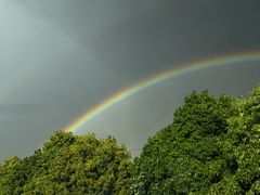 -黔府豆米火锅野菜馆(南马店)