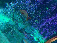 -沈阳海洋探索中心