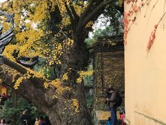 -无锡惠山寺