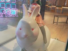 -凯德MALL(望京店)