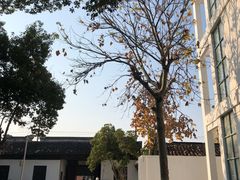 -江苏省黄埭中学