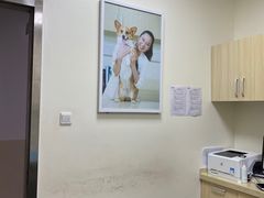 -美联众合动物医院·24h转诊中心