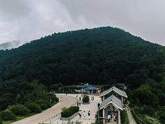 -梧桐山风景名胜区