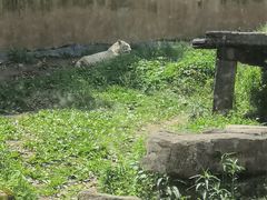 -宁波野生动物园