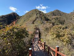 -大岭沟猕猴桃谷风景区