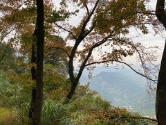 -广州市石门国家森林公园