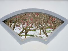 -梅花山(明孝陵内)