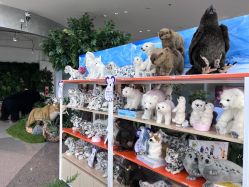 -IMON·HANSA潮玩玩偶毛绒玩具(通州万象汇店)