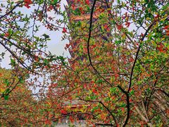 -塔子山公园