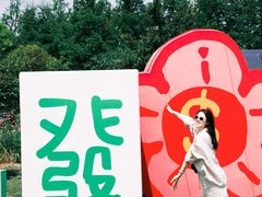 -荷兰花海