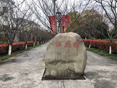 -高东镇樱花园