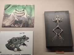 -天津自然博物馆