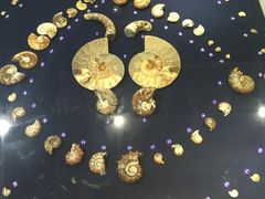 -青岛贝壳博物馆