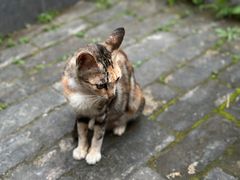 -栖园·半亩空间·茶馆(东方花园店)