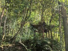 -桂山风景旅游区
