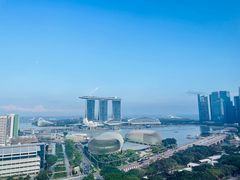 -新加坡瑞士史丹福酒店