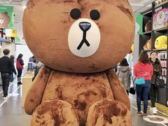 布朗熊-LINE FRIENDS Garosu-gil Flagship Store