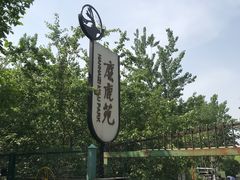 -北京麋鹿生态实验中心