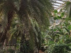 -龙达温泉生态城