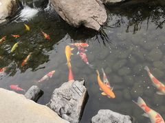 -罗红摄影艺术馆