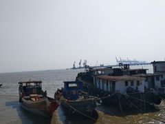 -平湖九龙山旅游度假区
